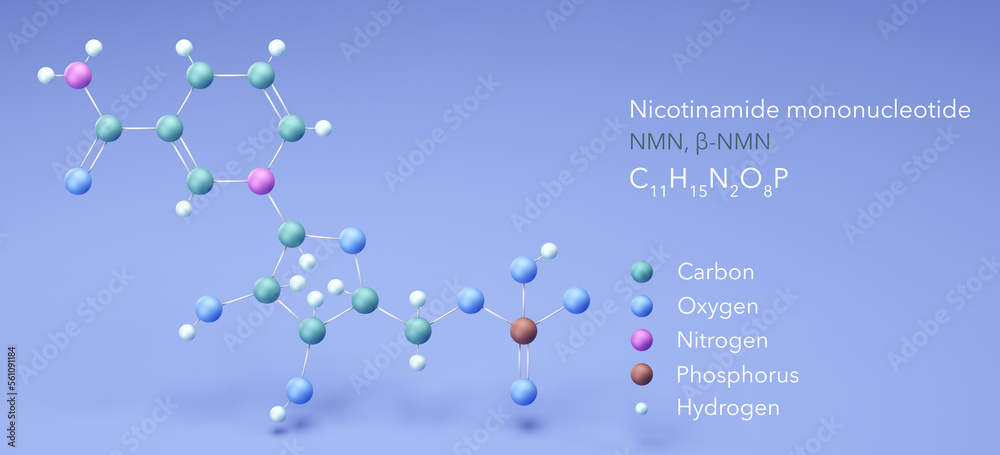 Análisis crítico del NMN: molécula, suplementos y costes